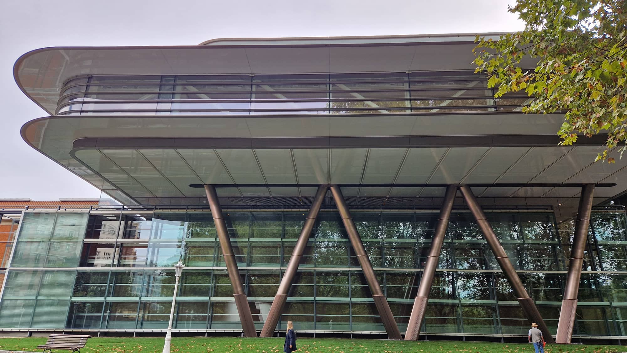 Tubular bronze-coloured steel columns in V pairs supporting the cantilevered, rounded underside of the new gallery above a glazed ground floor