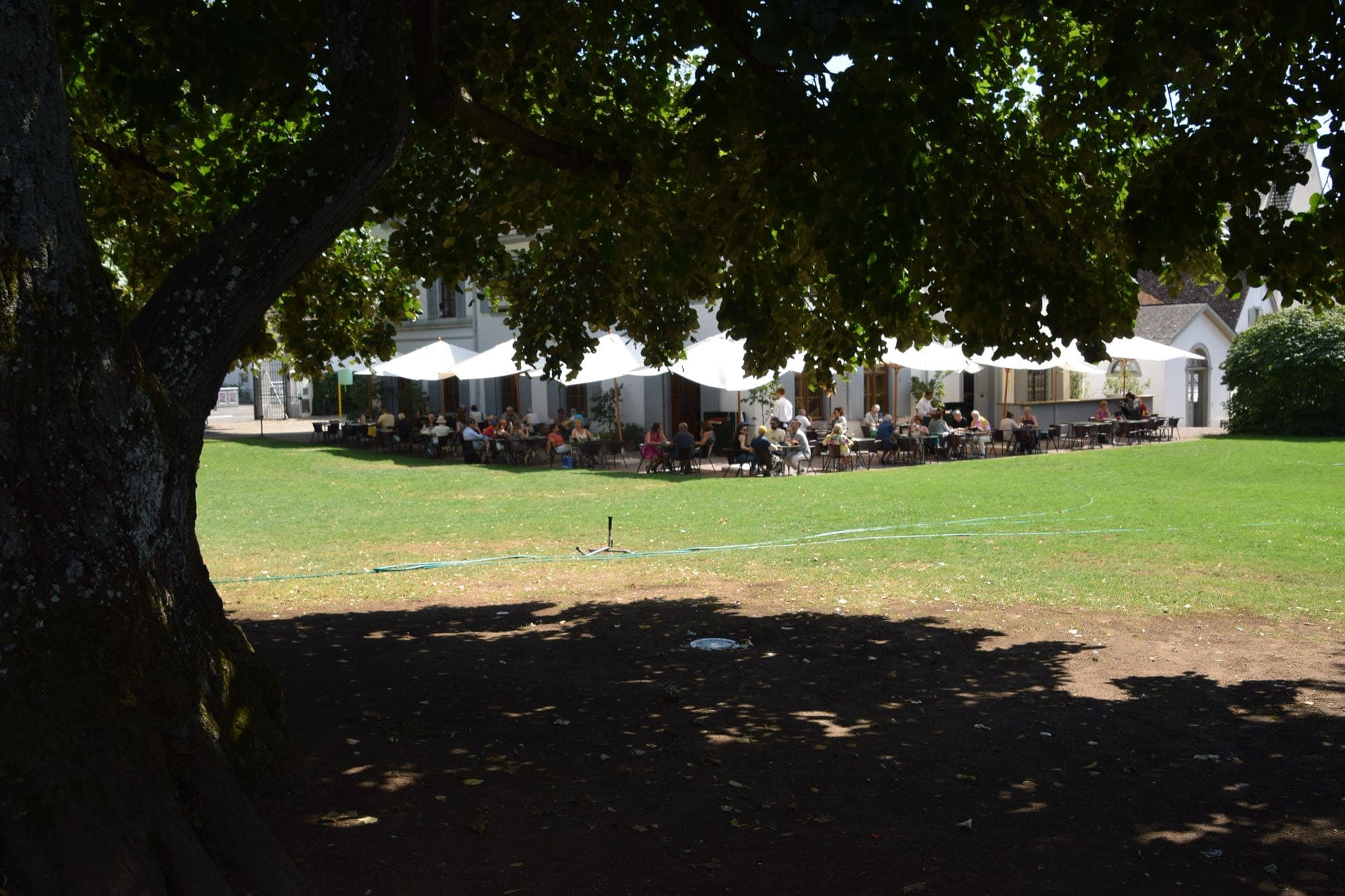 Diners under white umbrellas on a lawn in front of a white historic villa in Beyeler Park, framed by a large tree