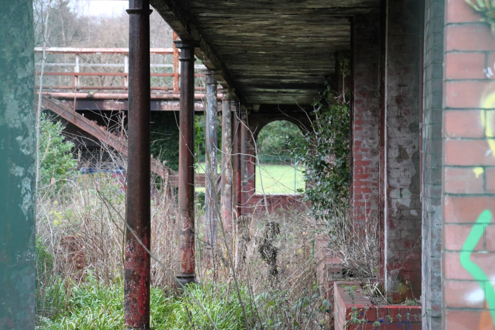 An arcade of rusting iron columns under a timber gallery at the Springburn Winter Gardens, with brick walls marked by graffiti and long grass growing between them